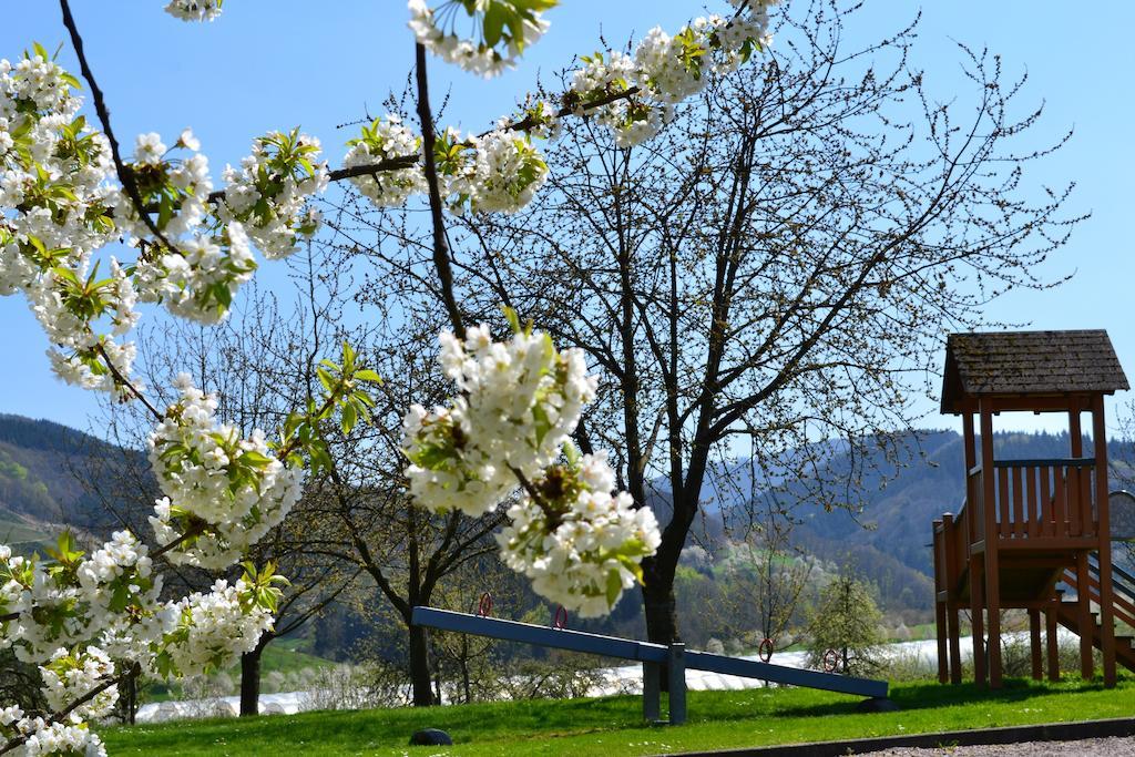 Alm Oberkirch (Baden)